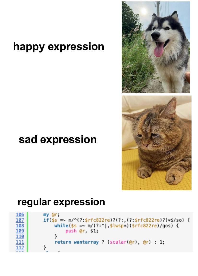 Expressions